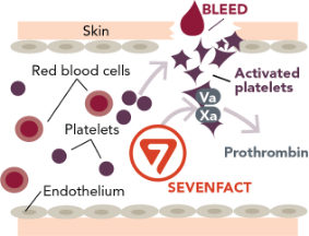 how-graphic-1
