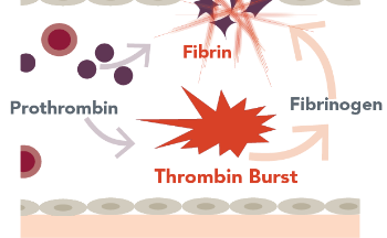how-graphic-2