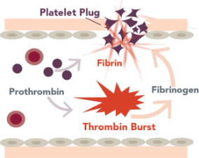 how-graphic-3