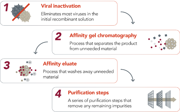 purification-process